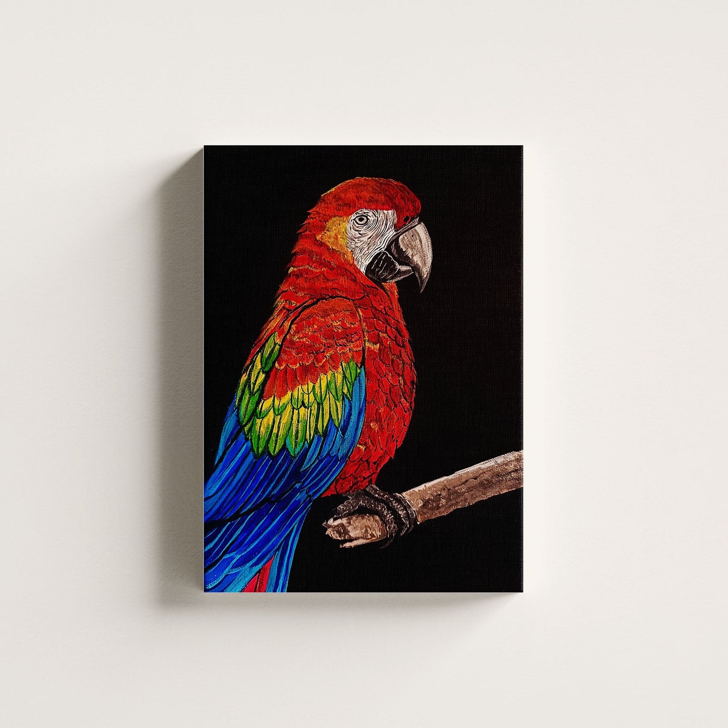 Red Macaw